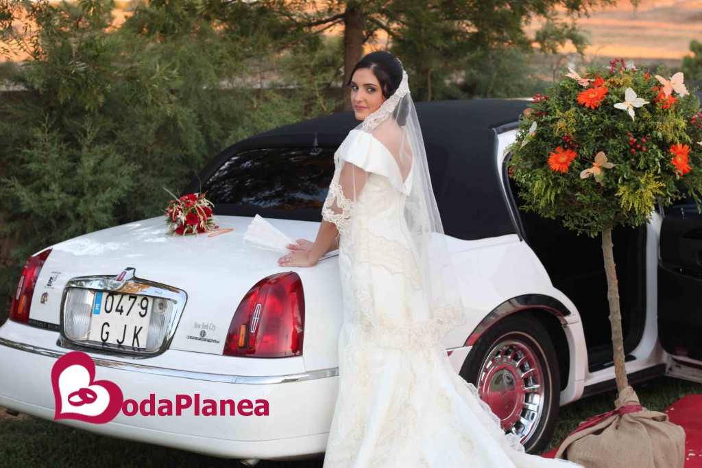 Boda Javier y Alicia